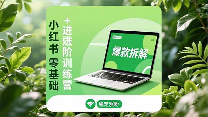 小红书零基础+高阶训练营：安全养号、爆款拆解、长效运营，实现稳定涨粉与变现百度网盘下载