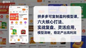 拼多多可复制盈利模型课，六大核心打法、实战复盘、灵活应用，模型清晰，稳定产出高利润-51自学联盟