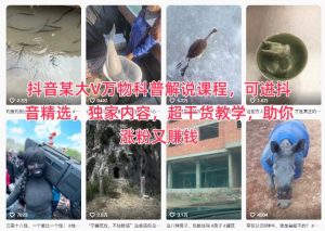 抖音某大V万物科普解说课程：实战涨粉变现攻略，独家干货教学指南-51自学联盟