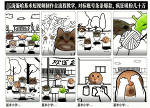 卤蛋哈基米短视频制作全流程教学，条条爆款，疯狂吸粉几十万-51自学联盟
