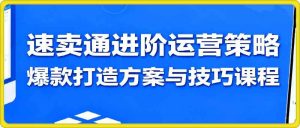 速卖通进阶运营策略，爆款打造方案与技巧课程-51自学联盟