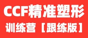 展老师CCF精准塑形跟练课程【全程带练版】-51自学联盟