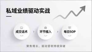 私域业绩驱动实战，成交话术、环节植入、每日SOP，聚焦增长，驱动营收持续突破-51自学联盟