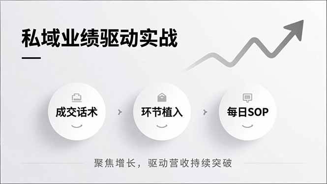 私域业绩驱动实战，成交话术、环节植入、每日SOP，聚焦增长，驱动营收持续突破百度网盘下载
