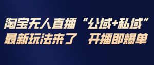 淘宝无人直播最新玩法,包含私域和公域两种玩法-51自学联盟