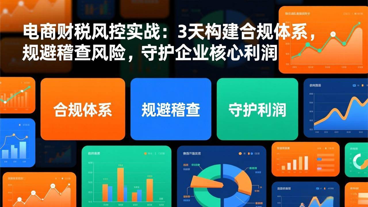 电商财税风控实战：3天构建合规体系，规避稽查风险，守护企业核心利润百度网盘下载