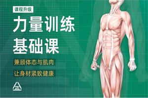 一介粗人x麦大湿《男性力量训练课程》-51自学联盟