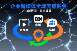 短视频全域商业模式，企业新媒体全域流量掘金，3域协同，共振破屏，短视频-直播-私域-地域-51自学联盟