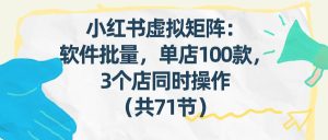 小红书虚拟矩阵：软件批量发笔记，单店100款，3个店同时操作（共71节）-51自学联盟