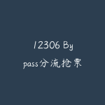 12306 Bypass分流抢票软件v1.16.62绿色版抢票神器-51自学联盟