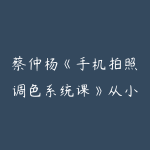 蔡仲杨《手机拍照调色系统课》从小白到精通-51自学联盟