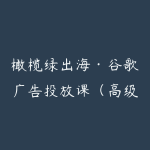 橄榄绿出海·谷歌广告投放课（高级课）-51自学联盟