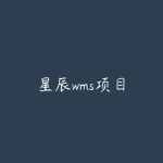 星辰wms项目-51自学联盟