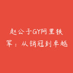 赵公子GY阿里铁军：从销冠到卓越管理者的24堂实战课-51自学联盟