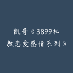 凯哥《3899私教恋爱感情系列》5套合集-51自学联盟