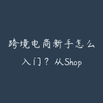 跨境电商新手怎么入门？从Shopee到独立站的全流程指南-51自学联盟