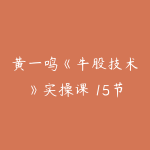 黄一鸣《牛股技术》实操课 15节-51自学联盟