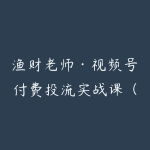 渔财老师·视频号付费投流实战课(更新5月)-51自学联盟