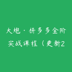 大炮·拼多多全阶实战课程（更新2026）-51自学联盟