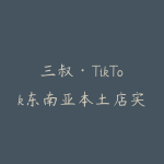 三叔·TikTok东南亚本土店实操（更5月）-51自学联盟