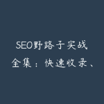 SEO野路子实战全集:快速收录、站群霸屏、黑帽技术-51自学联盟