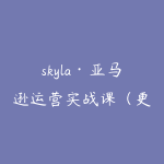 skyla·亚马逊运营实战课(更新6月)-51自学联盟