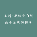 王涛-期权小白到高手系统实操课-51自学联盟