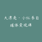 大漂亮·小红书自媒体变现课-51自学联盟