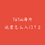 TikTok海外运营怎么入门?2026年跨境电商和内容出海的赚钱机会指南-51自学联盟