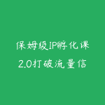 保姆级IP孵化课2.0打破流量信息差，从定位到拍剪全流程落地，小白也能起号-51自学联盟