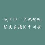赵老师·全域短视频及直播间千川实操-51自学联盟