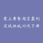 爱上黄昏淘宝盈利实战班杭州线下课12月26-28日(音频+字幕)-51自学联盟