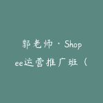 郭老师·Shopee运营推广班（2026）-51自学联盟