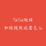 TikTok矩阵和短视频运营怎么搭?从账号到变现完整指南-51自学联盟