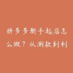 拼多多新手起店怎么做？从测款到利润表复盘-51自学联盟