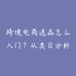 跨境电商选品怎么入门?从类目分析到测款的实操路线-51自学联盟