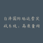 白泽国际站运营实战系统:高质量询盘增长课-51自学联盟