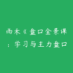 雨禾《盘口全景课:学习与主力盘口共舞》盘口系统课-51自学联盟