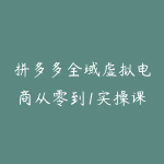 拼多多全域虚拟电商从零到1实操课，小白虚拟电商从0到1实操到精通-51自学联盟