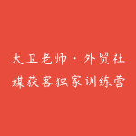 大卫老师·外贸社媒获客独家训练营（更新4月）-51自学联盟