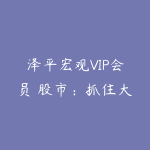 泽平宏观VIP会员 股市:抓住大牛市,寻找大牛股 共14个视频-51自学联盟