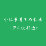 小红书博主成长课｜IP人设打造+赛道定位+文案创作+薯条投放+直播实操，宝妈从零打造可变现自媒体账号-51自学联盟