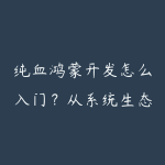 纯血鸿蒙开发怎么入门?从系统生态到应用实战的学习路线-51自学联盟