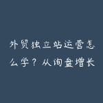 外贸独立站运营怎么学?从询盘增长到转化复盘指南-51自学联盟